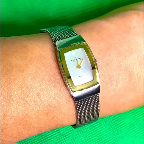 Ladies SKAGEN nice dressy watch 🌟🌟🌟 Silver