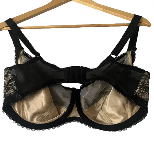 Fantasie Susanna FL2402 Black Lace Full Coverage Underwire Bra Size 36J