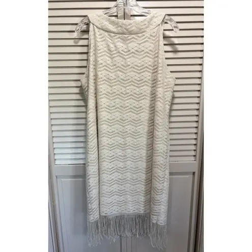 Tiana B. Cream/Silver Thread Crocheted Sleeveless Fringe Lined Slip Dress 16W Silver Size 16