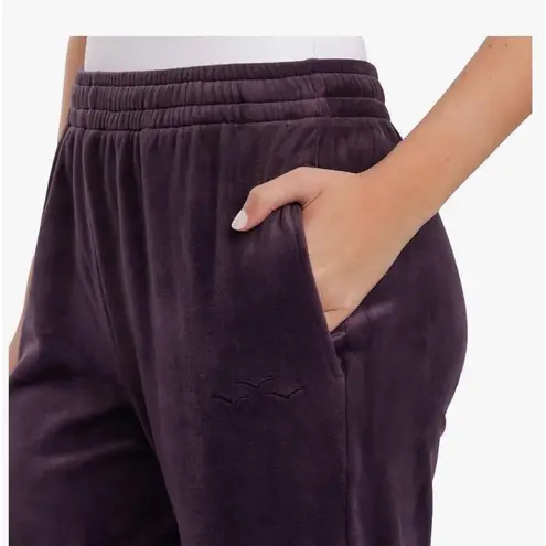 Lazypants Womens Heavyweight High Rise Velour Joggers NWT Purple Size L