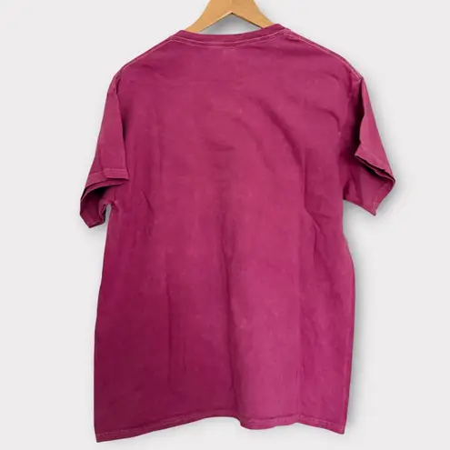 Nirvana Band Tee Pink/Blue Graphic T-Shirt L NWOT