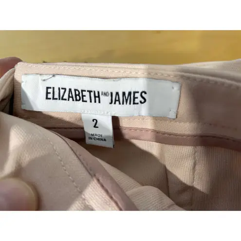 Elizabeth and James Pencil Skirt Size 2 Nude Black Mesh Overlay Office Siren