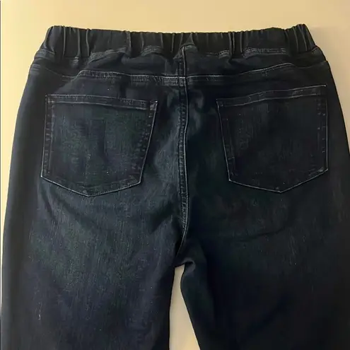 Eileen Fisher  Dark Wash Denim Skinny Jean Pull On Stretch Small