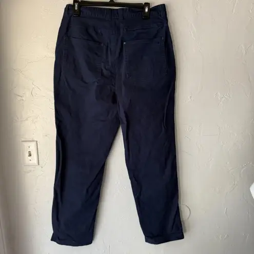 Stio Pants Womens 12R Organic Stretch Casual Outdoor Workwear Utility Blue Size 12