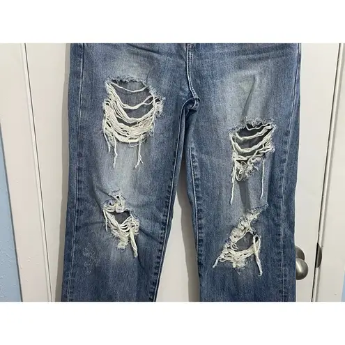 Willow & Root Jeans Size 26 High Rise Vintage Dad Jean Distressed Festival Blue