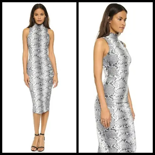 Elizabeth and James 💕💕 Boa Dress in Python