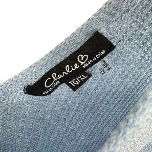 Charlie B Blue Loose Knit V