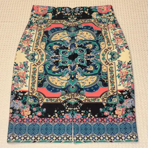 Champagne & Strawberry Floral Pencil Skirt Size Large Blue