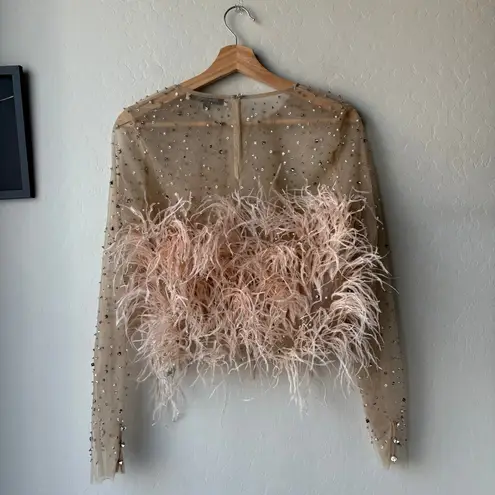 RÊVE RICHE Jasmina Feather Embellished Dusty Rose Sheer Long Sleeve Top Size 42 Pink