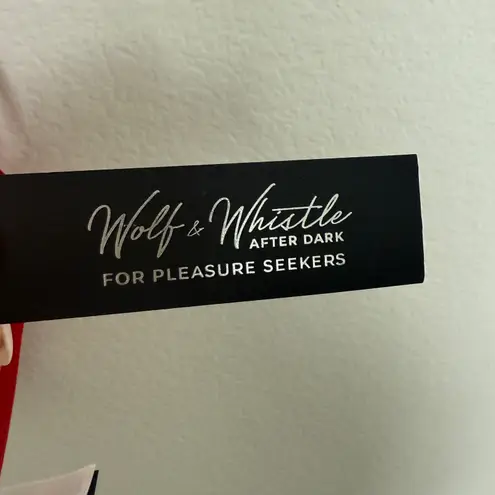 Wolf & Whistle Womens Bodysuit Size US 6 Red Bella Satin Lace Strappy Lingerie