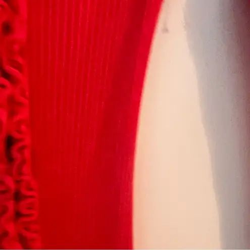 Find Me Now Ribbed Knit Ruffle Trim Retro Long Sleeve MIDI Length Sweater Small Red