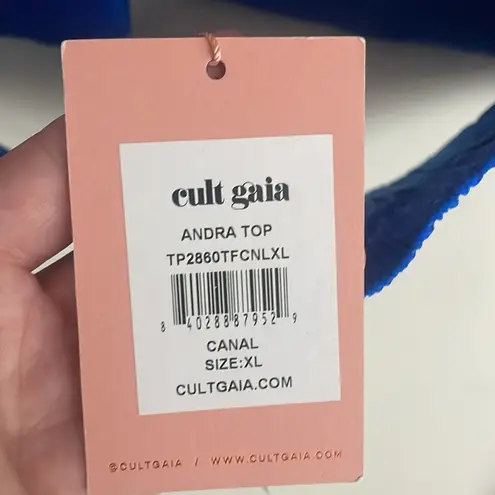 Cult Gaia Andra Corset Top in canal