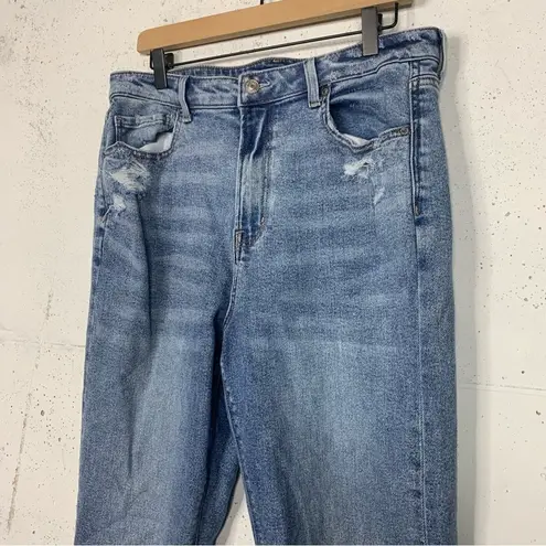 American Eagle  High Rise Ankle Cropped Jeans Size 14