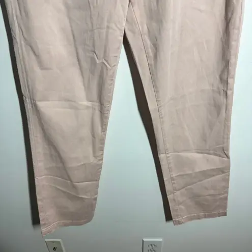 Pilcro and the Letterpress Pilcro Hyphen Chino Pant Women 29 Pink Blush Straight Preppy Minimal Modest