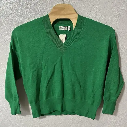 RD Style Laura Pullover Size Small VNeck Sweater Green Oversized Classic NWT