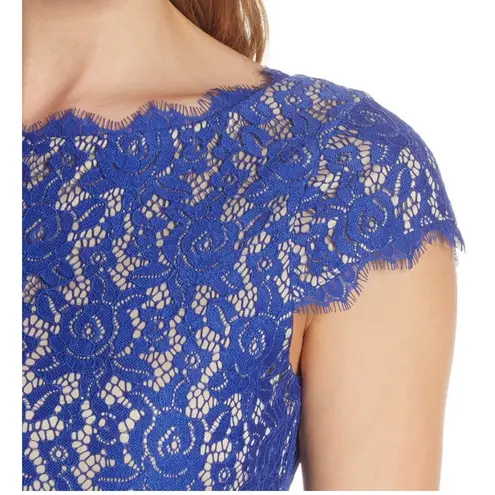 Eliza J Royal Blue Lace Cocktail Dress Size 12 Cap Sleeve Scalloped Hem Lined