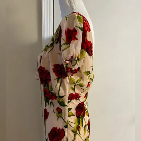 Rare London Rose Devore burnout velvet maxi dress coquette Sz 8 NWT