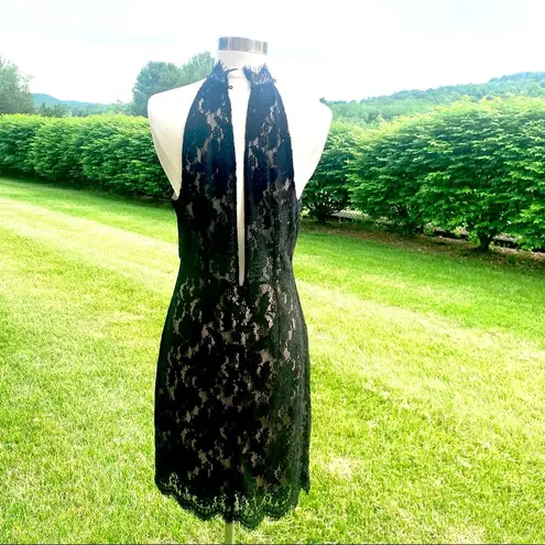 Sans Souci High Neck Black & Tan Lace Midi Dress