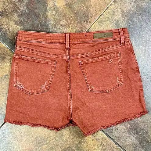 Treasure & Bond Distressed Cutoff Rust Shorts 31