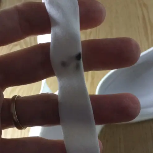 Warner's Wireless Push Up Padded at the Bottom of the Cups Bra Ivory Size 38C White