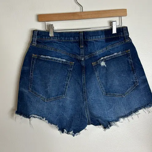 Abercrombie & Fitch  high rise fly button mom shorts curve love size 30