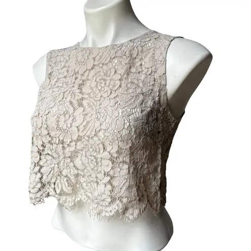 Jenny Yoo Cleo Lace Crop Top, Sz XS