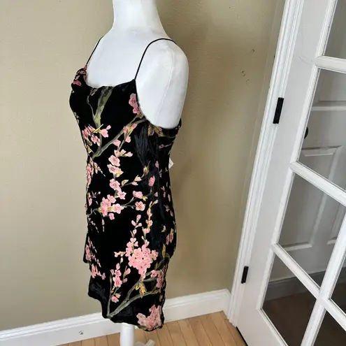 Peppermayo NWT Floral Velvet Burnout Drape neck Mini Dress Size 6