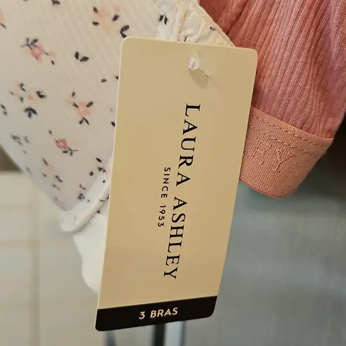 Laura Ashley ππ 3 Pack Super Soft Comfort Push Up Bras ~ Multi-Color 36C NWT