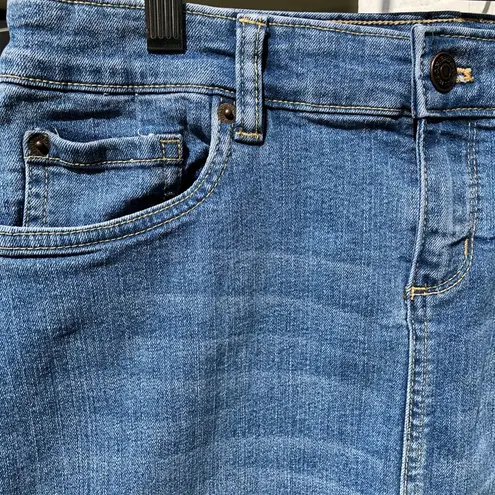 Bass Mini Jean Skirt 4