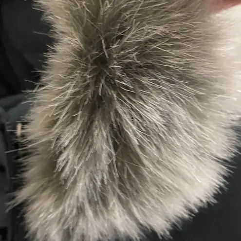 FORECASTER OF BOSTON WO SIZE MEDIUM PETITE Fur