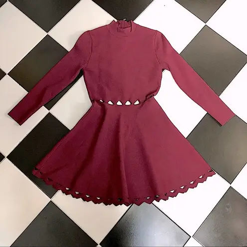 John + Jenn Maroon Burgundy Long Sleeve Fit & Flare Mini Dress Laser Cut Outs L