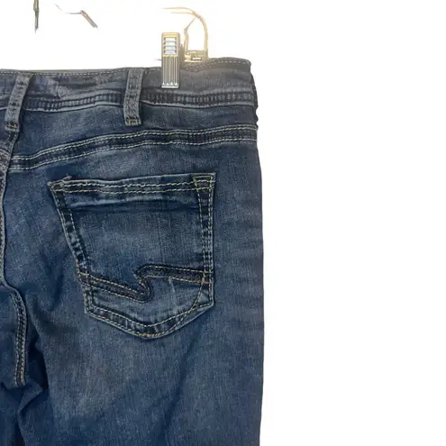 Silver Jeans Co. Women's Plus Size W 36 Girlfriend Skinny Jeans Blue