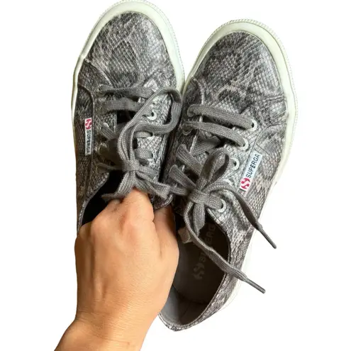 Superga  2750 - Faux Snake Grey Sneaker- Size 6