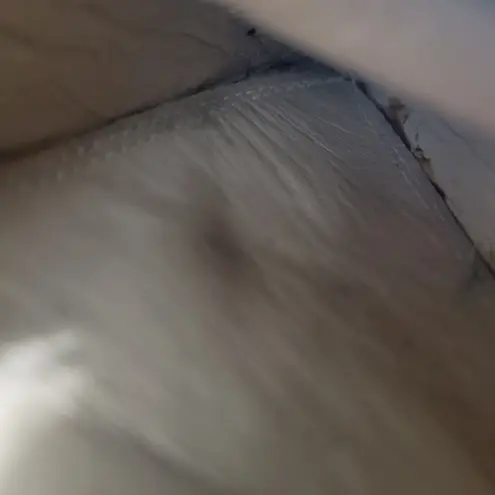 Shoes Size 7.5 Women's Elie Saab Heels Ankle Strap Floral Lace Pattern Women's Shoes