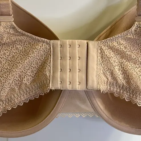 Bare Necessities Demi Geo Lace T