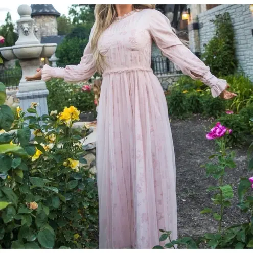 Ivy City Co Last Songbird Dress M Pink Pleated Tulle Gown Cottagecore Floral Size M
