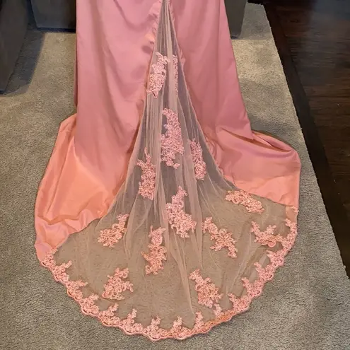 Women’s Dusty Pink Full Length Party Formal Dress Small Train Size 14 NWT