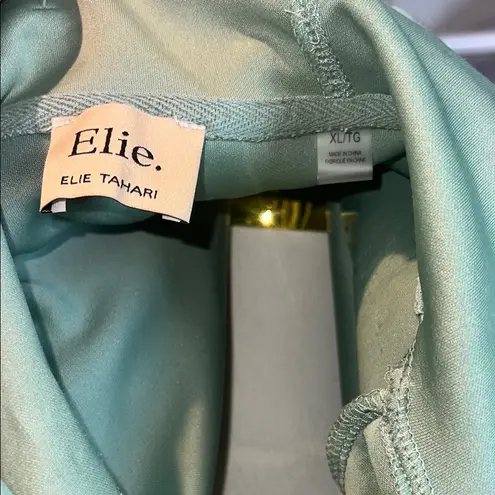 Elie Tahari Light Green Hooded Sweatshirt sizeXL ordrA3