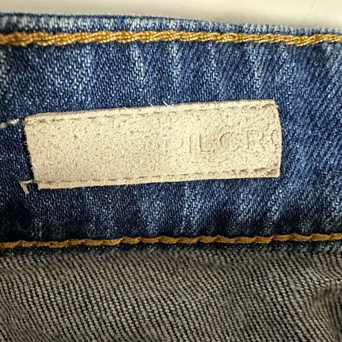 Pilcro and the Letterpress Anthro l Pilcro Relaxed Straight Jeans