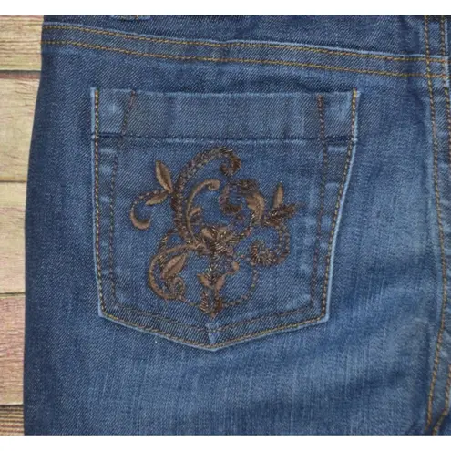 Ann Taylor Jeans Womens Size 10 Curvy Fit Lindsay Waist Blue Denim Straight Leg