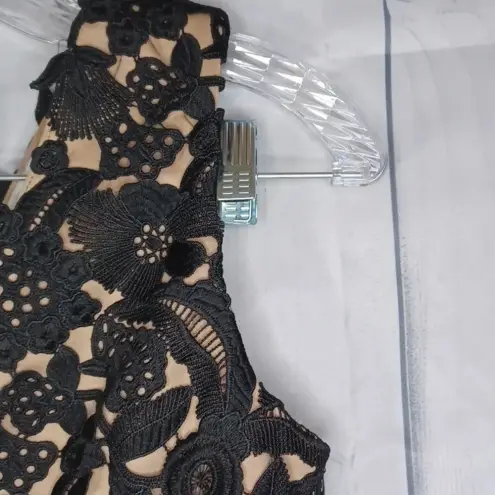 Heartloom  Anthropologie Black sheer and lace fit& flare dress