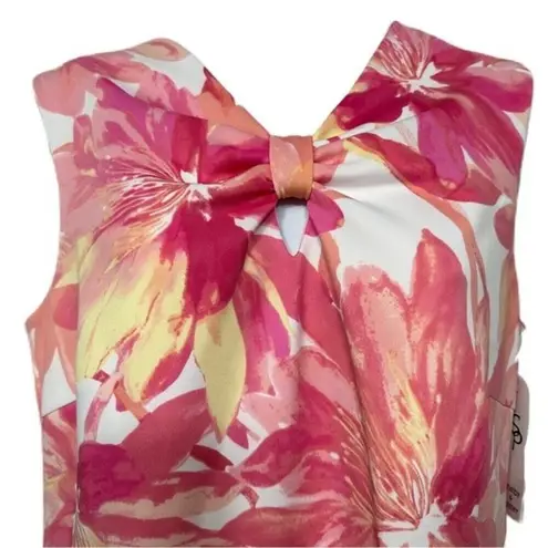 Shelby & Palmer Shelby & Palmer Floral Print Multi-Colored Dress Size 10