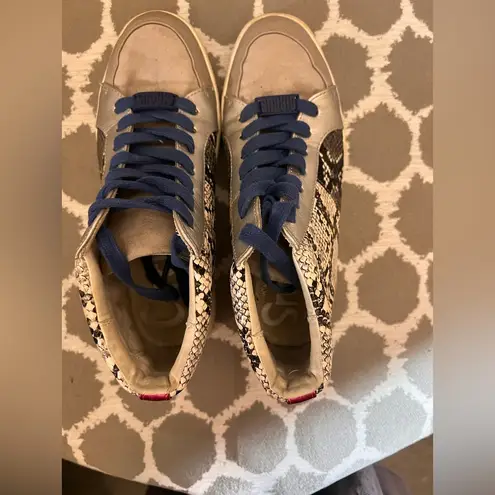 Circus by Sam Edelman Blue and Silver Snake Print Sneakers 6 metallic skin