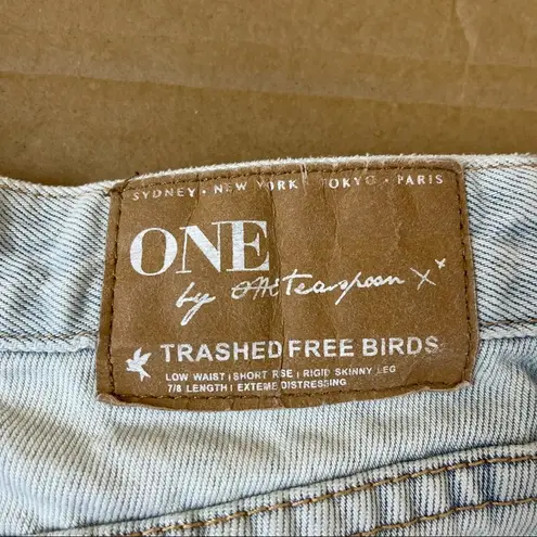 One Teaspoon  Trashed Freebird Jeans in Dirt