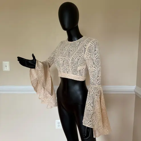 Bell Sleeve Lace Crop Top Butterfly Sleeve Blouse Lace Tee T