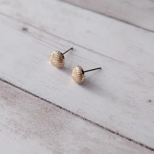 Shell Shape Stud Earrings
