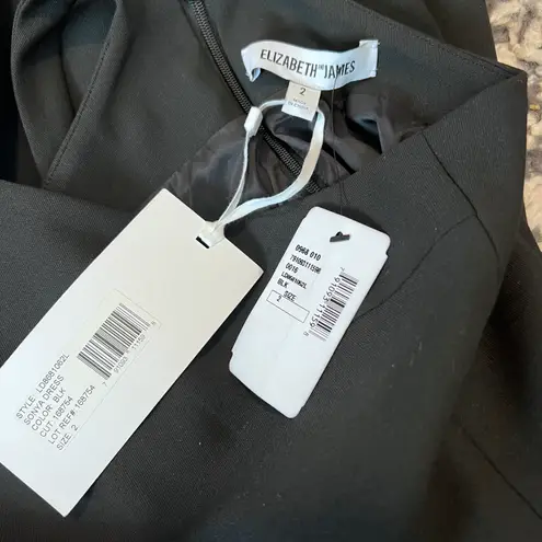 Elizabeth and James Black Halter Skater Dress