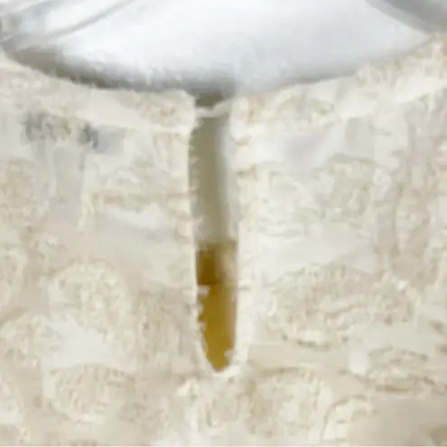 Moon River Cream Crop Raised Polka Dots Lace Trim Sheer Long Sleeves Top Small