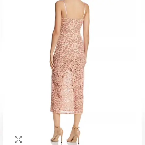 Sau Lee Celina Sheer Lace Bustier Midi Dress Size US 10 Blush Pink