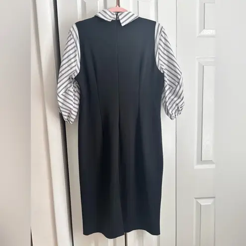 New York & Company Ponte Dress
